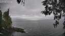 ./images/koeye/fitz-hugh/20260427/fitz-hugh20260427_134501M.jpg