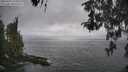./images/koeye/fitz-hugh/20260427/fitz-hugh20260427_135001M.jpg