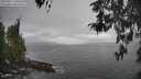 ./images/koeye/fitz-hugh/20260427/fitz-hugh20260427_140501M.jpg