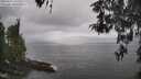 ./images/koeye/fitz-hugh/20260427/fitz-hugh20260427_141502M.jpg