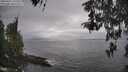 ./images/koeye/fitz-hugh/20260427/fitz-hugh20260427_142501M.jpg