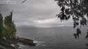 ./images/koeye/fitz-hugh/20260427/fitz-hugh20260427_145001M.jpg