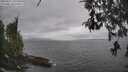./images/koeye/fitz-hugh/20260427/fitz-hugh20260427_145502M.jpg