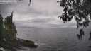 ./images/koeye/fitz-hugh/20260427/fitz-hugh20260427_152501M.jpg