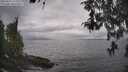 ./images/koeye/fitz-hugh/20260427/fitz-hugh20260427_153002M.jpg
