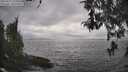 ./images/koeye/fitz-hugh/20260427/fitz-hugh20260427_154001M.jpg