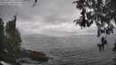 ./images/koeye/fitz-hugh/20260427/fitz-hugh20260427_154501M.jpg