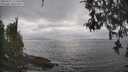 ./images/koeye/fitz-hugh/20260427/fitz-hugh20260427_155501M.jpg