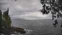 ./images/koeye/fitz-hugh/20260427/fitz-hugh20260427_161501M.jpg