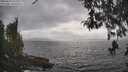 ./images/koeye/fitz-hugh/20260427/fitz-hugh20260427_163001M.jpg