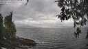 ./images/koeye/fitz-hugh/20260427/fitz-hugh20260427_164502M.jpg