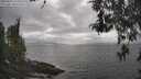 ./images/koeye/fitz-hugh/20260427/fitz-hugh20260427_165002M.jpg