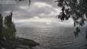 ./images/koeye/fitz-hugh/20260427/fitz-hugh20260427_170501M.jpg