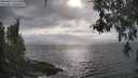 ./images/koeye/fitz-hugh/20260427/fitz-hugh20260427_171501M.jpg