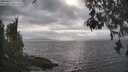 ./images/koeye/fitz-hugh/20260427/fitz-hugh20260427_172001M.jpg