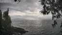 ./images/koeye/fitz-hugh/20260427/fitz-hugh20260427_172501M.jpg