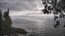 ./images/koeye/fitz-hugh/20260427/fitz-hugh20260427_173501M.jpg