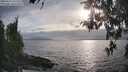 ./images/koeye/fitz-hugh/20260427/fitz-hugh20260427_182501M.jpg