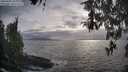 ./images/koeye/fitz-hugh/20260427/fitz-hugh20260427_183001M.jpg