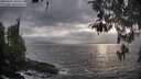 ./images/koeye/fitz-hugh/20260427/fitz-hugh20260427_185501M.jpg