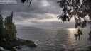 ./images/koeye/fitz-hugh/20260427/fitz-hugh20260427_191502M.jpg