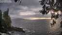 ./images/koeye/fitz-hugh/20260427/fitz-hugh20260427_194001M.jpg