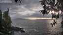./images/koeye/fitz-hugh/20260427/fitz-hugh20260427_194501M.jpg
