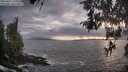 ./images/koeye/fitz-hugh/20260427/fitz-hugh20260427_195001M.jpg
