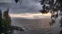 ./images/koeye/fitz-hugh/20260427/fitz-hugh20260427_204001M.jpg