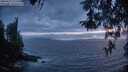 ./images/koeye/fitz-hugh/20260427/fitz-hugh20260427_211501M.jpg