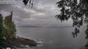 ./images/koeye/fitz-hugh/20260428/fitz-hugh20260428_070501M.jpg