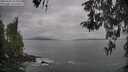./images/koeye/fitz-hugh/20260428/fitz-hugh20260428_095001M.jpg