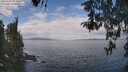 ./images/koeye/fitz-hugh/20260428/fitz-hugh20260428_114001M.jpg