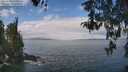 ./images/koeye/fitz-hugh/20260428/fitz-hugh20260428_114502M.jpg