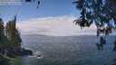 ./images/koeye/fitz-hugh/20260428/fitz-hugh20260428_121502M.jpg