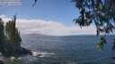 ./images/koeye/fitz-hugh/20260428/fitz-hugh20260428_125001M.jpg
