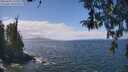./images/koeye/fitz-hugh/20260428/fitz-hugh20260428_125501M.jpg