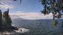 ./images/koeye/fitz-hugh/20260428/fitz-hugh20260428_132501M.jpg