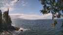 ./images/koeye/fitz-hugh/20260428/fitz-hugh20260428_133501M.jpg