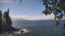./images/koeye/fitz-hugh/20260428/fitz-hugh20260428_135002M.jpg