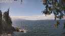 ./images/koeye/fitz-hugh/20260428/fitz-hugh20260428_135502M.jpg
