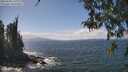 ./images/koeye/fitz-hugh/20260428/fitz-hugh20260428_140001M.jpg