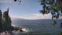 ./images/koeye/fitz-hugh/20260428/fitz-hugh20260428_141001M.jpg
