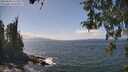 ./images/koeye/fitz-hugh/20260428/fitz-hugh20260428_142002M.jpg