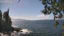./images/koeye/fitz-hugh/20260428/fitz-hugh20260428_143002M.jpg