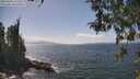 ./images/koeye/fitz-hugh/20260428/fitz-hugh20260428_143501M.jpg