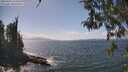 ./images/koeye/fitz-hugh/20260428/fitz-hugh20260428_144002M.jpg