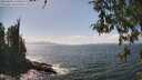 ./images/koeye/fitz-hugh/20260428/fitz-hugh20260428_145001M.jpg