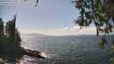 ./images/koeye/fitz-hugh/20260428/fitz-hugh20260428_145501M.jpg