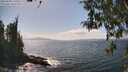 ./images/koeye/fitz-hugh/20260428/fitz-hugh20260428_150501M.jpg